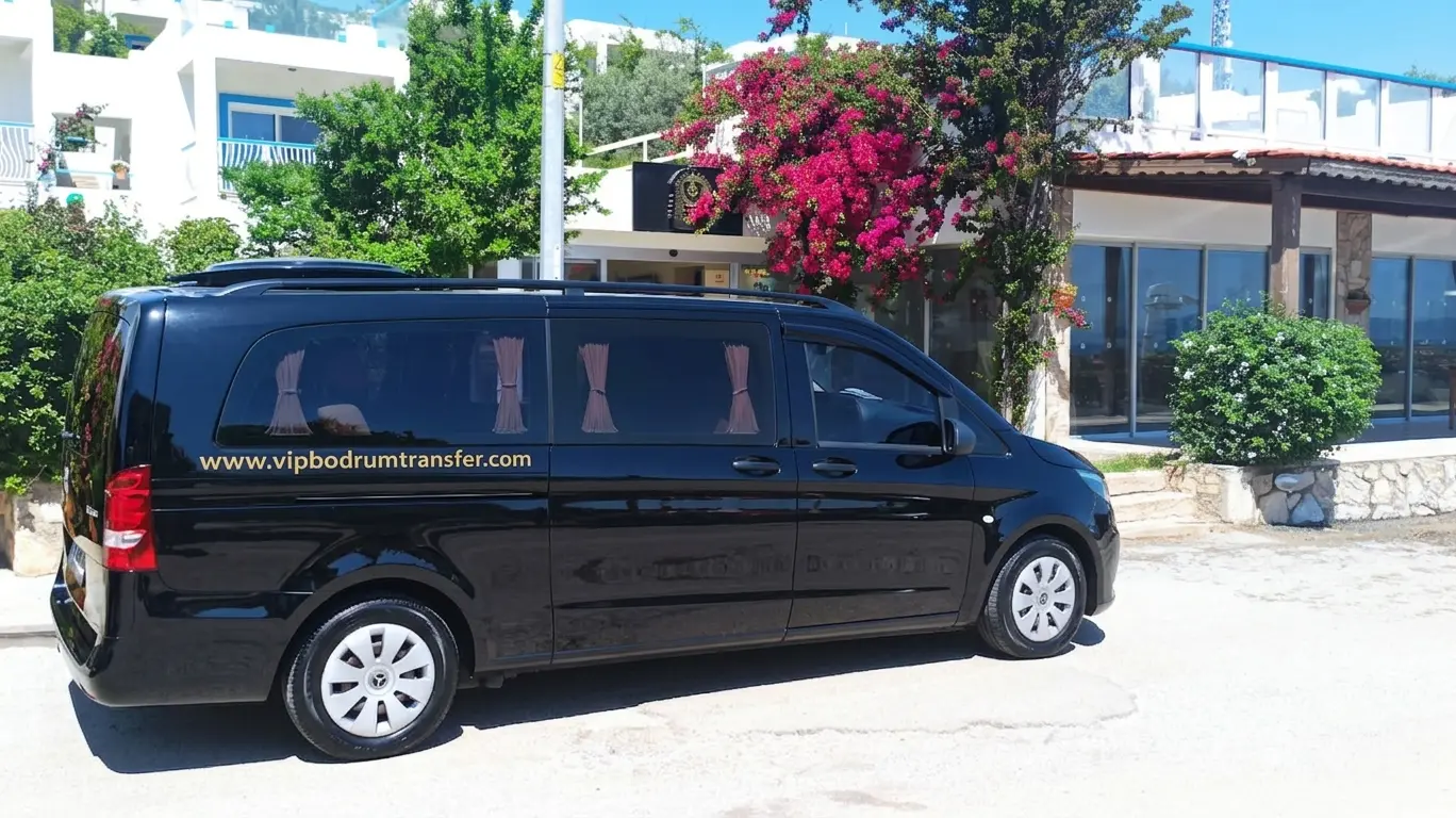 Vip Transfer